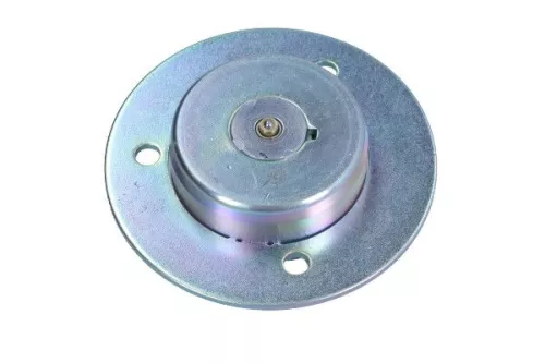 MAXGEAR Central Magnet, camshaft adjustment (27-0689)