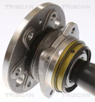 TRISCAN Wheel Bearing Kit (853023237)