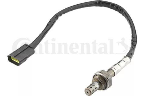 Oxygen Sensor