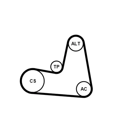 CONTINENTAL CTAM V-ribbed Belt Set (7PK1125K1)