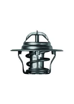MAHLE Thermostat, coolant (TX487D)