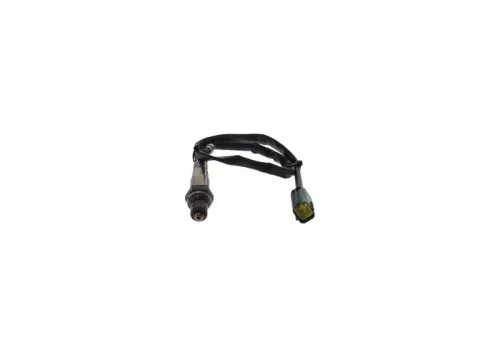 Oxygen Sensor