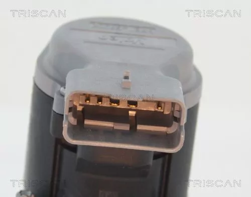 TRISCAN EGR Valve (881310009)