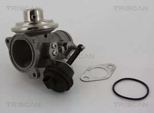 TRISCAN EGR Valve (881329001)