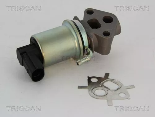 TRISCAN EGR Valve (881329007)