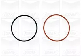 GRAF Water Pump, engine cooling (PA1287)