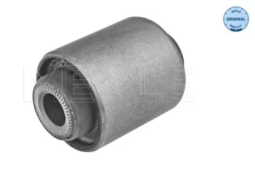 Mounting, control/trailing arm