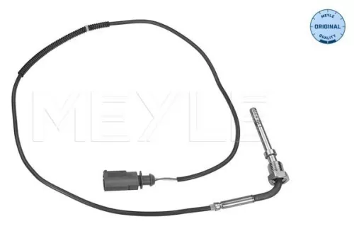 Sensor, exhaust gas temperature