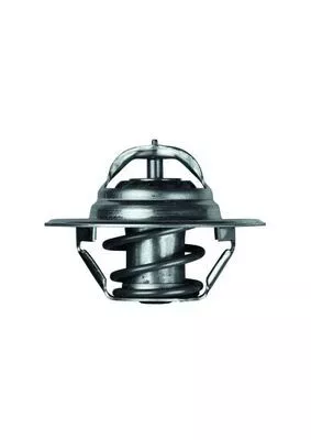 MAHLE Thermostat, coolant (TX383D)
