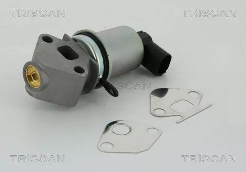 TRISCAN EGR Valve (881329004)