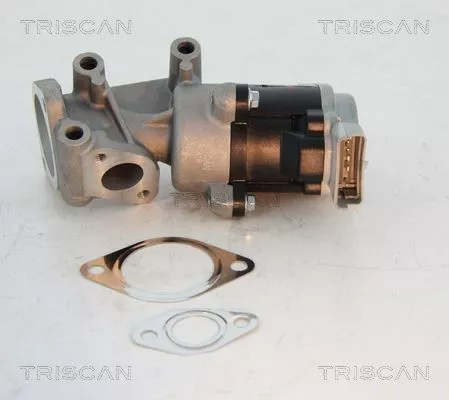 TRISCAN EGR Valve (881310008)