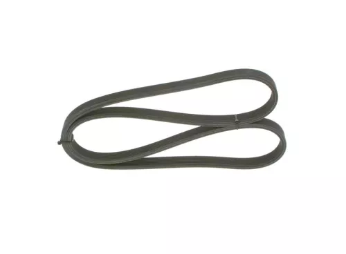 V-ribbed Belt