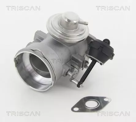 TRISCAN EGR Valve (881329056)