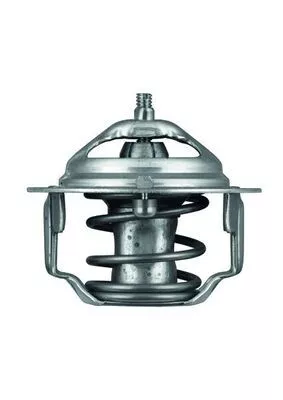 MAHLE Thermostat, coolant (TX6482)