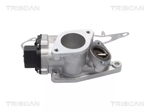 TRISCAN EGR Valve (881325201)