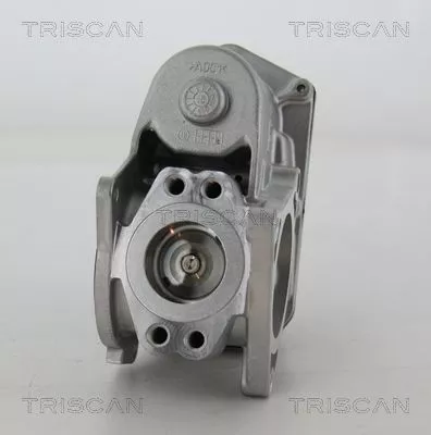 TRISCAN EGR Valve (881329003)