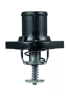 MAHLE Thermostat, coolant (TI18289)