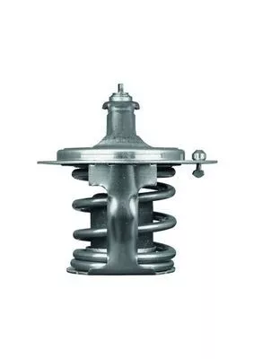 MAHLE Thermostat, coolant (TX7978D)