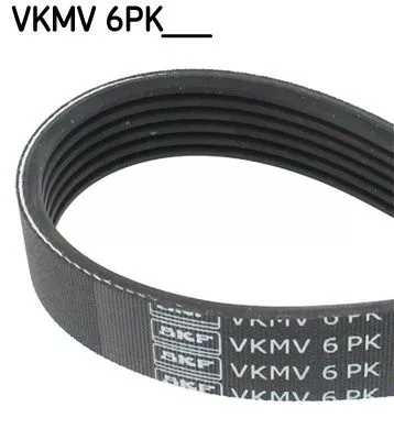 V-ribbed Belt