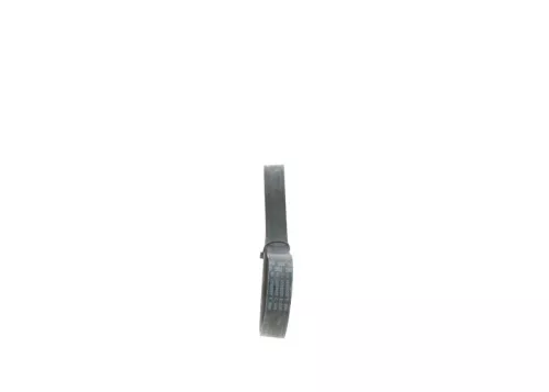 BOSCH V-ribbed Belt (1987945731)