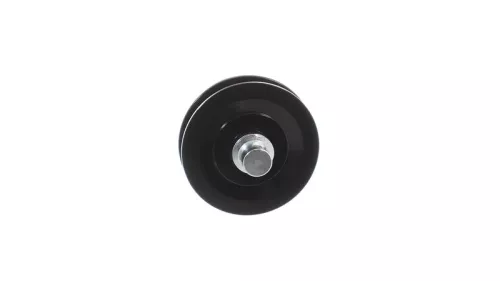 SKF Tensioner Pulley, V-belt (VKM65059)