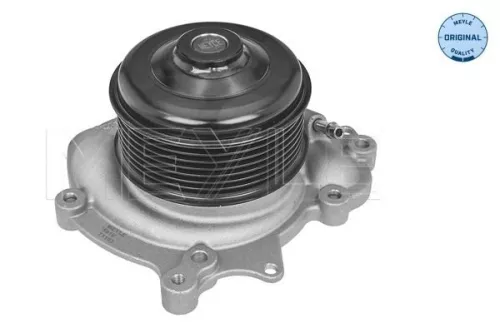 MEYLE Water Pump, engine cooling (0132200033)