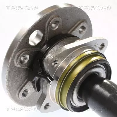 TRISCAN Wheel Bearing Kit (853023234)