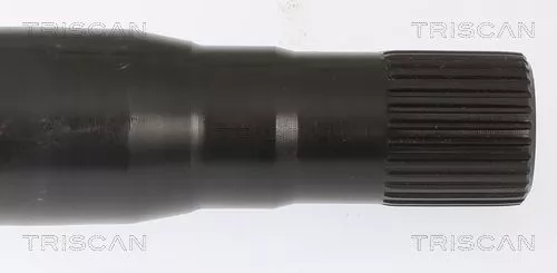 TRISCAN Wheel Bearing Kit (853023234)