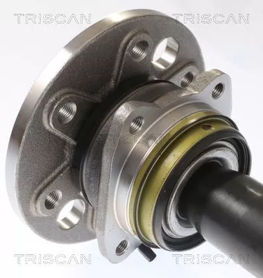 TRISCAN Wheel Bearing Kit (853023233)