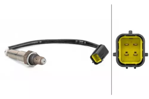 Oxygen Sensor