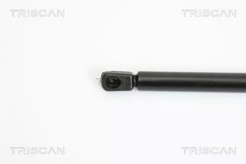 TRISCAN Gas Spring, boot/cargo area (871011225)