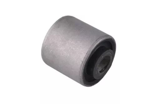 Camber Correction Screw