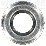 Seal Ring, injector