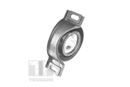 TEDGUM Camber Correction Screw (TED45560)