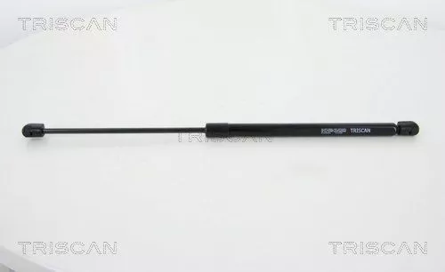 Gas Spring, boot/cargo area