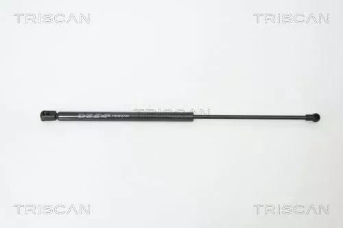 Gas Spring, boot/cargo area