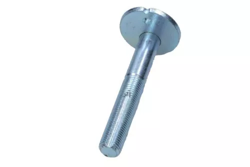 Camber Correction Screw