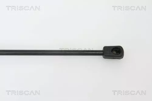 TRISCAN Gas Spring, boot/cargo area (871025232)