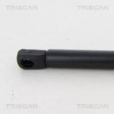 TRISCAN Gas Spring, boot/cargo area (8710292054)