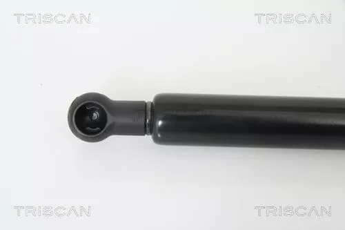 TRISCAN Gas Spring, boot/cargo area (871029268)