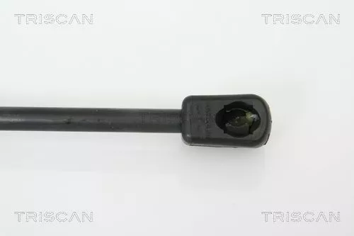 TRISCAN Gas Spring, boot/cargo area (871029268)