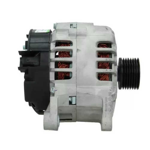 BV PSH Alternator (575.583.125.000)