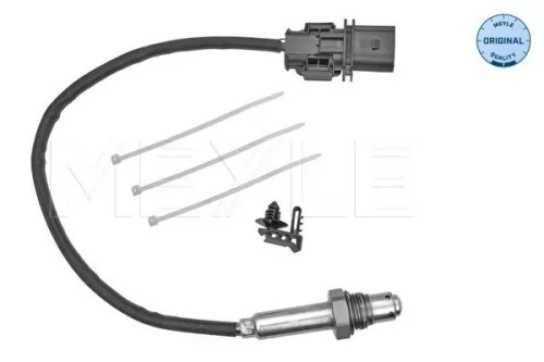 Oxygen Sensor