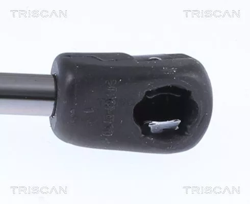TRISCAN Gas Spring, boot/cargo area (871023299)