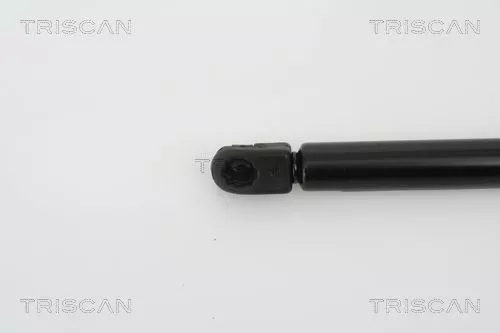 TRISCAN Gas Spring, bonnet (871029123)