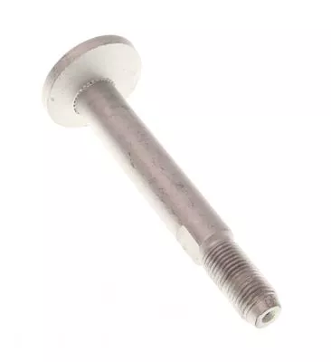 Camber Correction Screw