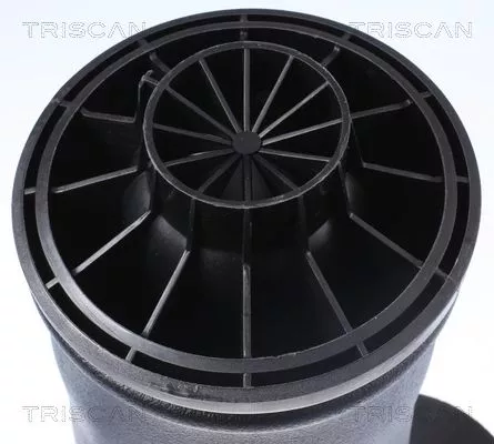 TRISCAN Air Spring, suspension (872023204)