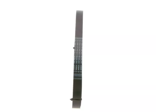BOSCH V-Ribbed Belt (1987945984)
