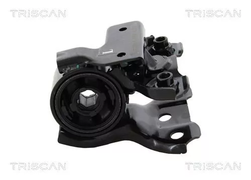 Mounting, control/trailing arm