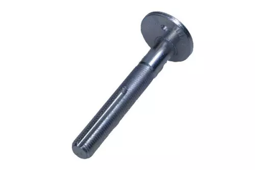 Camber Correction Screw
